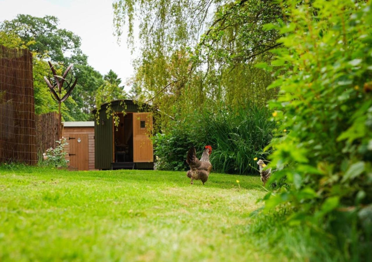 The Harmony Hut Villa Skirwith Exterior photo